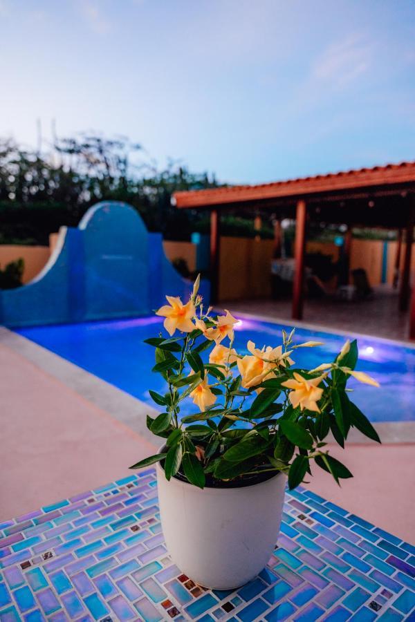נורד Villa Encantada Aruba מראה חיצוני תמונה